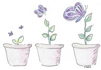 Afbeelding plantengroei Healingpraktijk Apatura.jpg