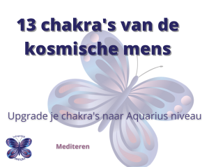 13 chakra's kosmische mens