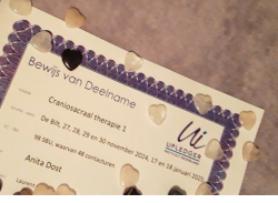 Deelnamebewijs CS1